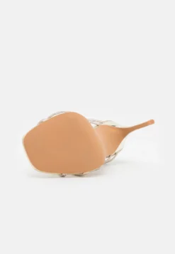 Anna Field Leather - Sandalen Met Hoge Hak - Gold -Anna Field 4f76f81c75764e8d8b9c0f86925c5a5d scaled